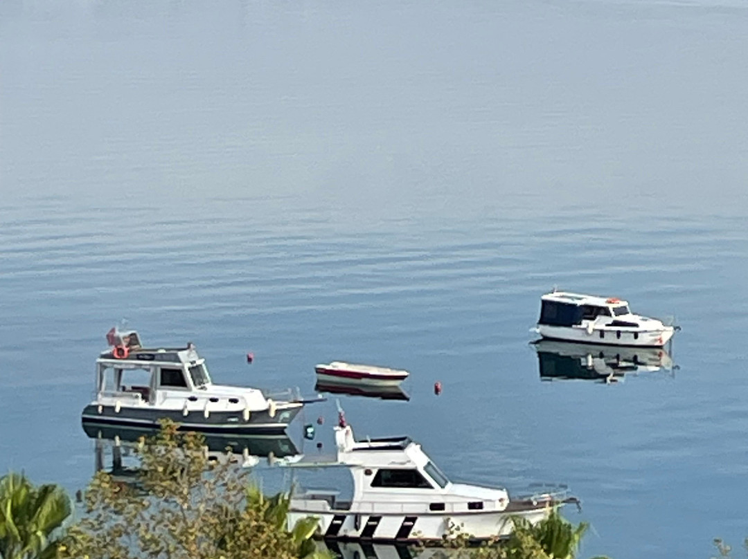 Wellborn Luxury Hotel主图