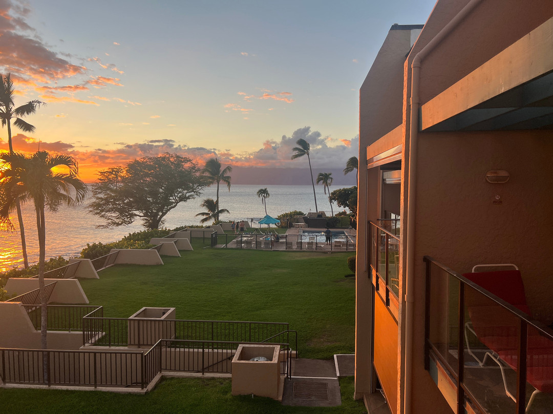 Napili Point Resort主图