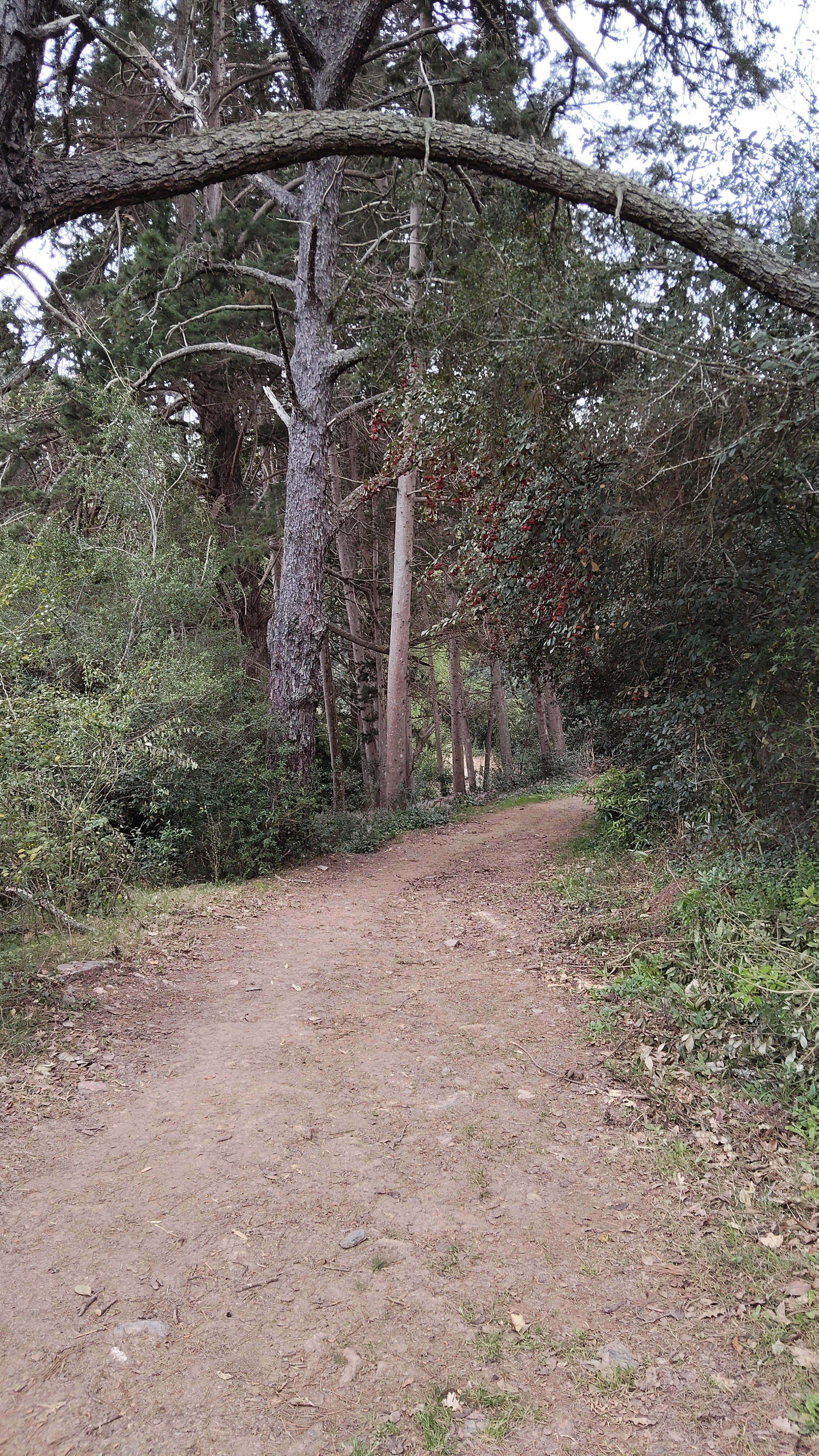 Parque de Minas - Hotel Vacacional-官方