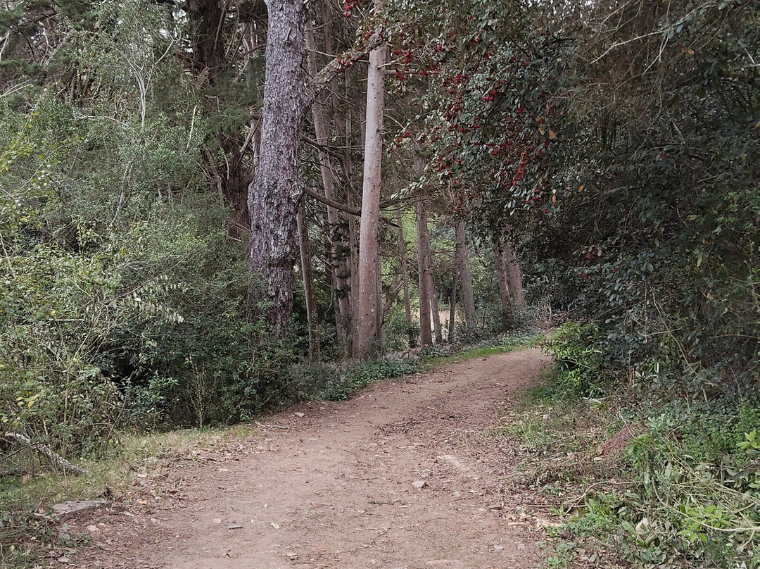 Parque de Minas - Hotel Vacacional主图