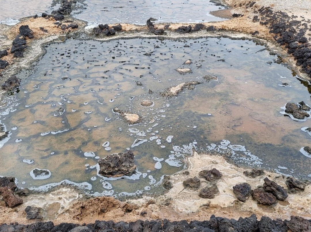 Salinas de los Cocoteros