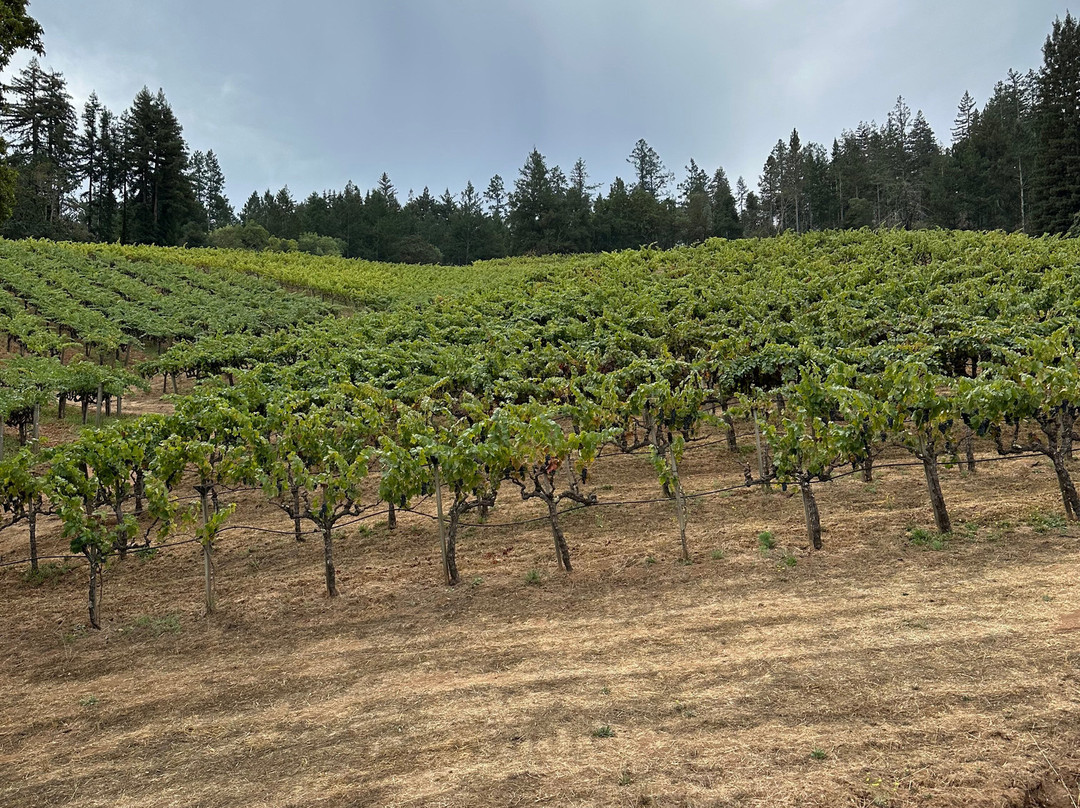 Storybook Mountain Vineyards-卡利斯托加必去景点