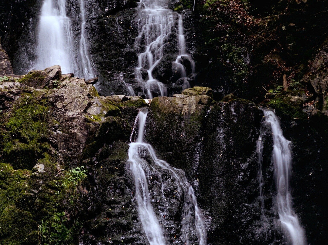 Forsakar Nature Reserve-Degeberga必去景点