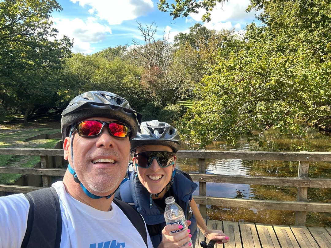 Cyclexperience (new Forest)-Brockenhurst必去景点