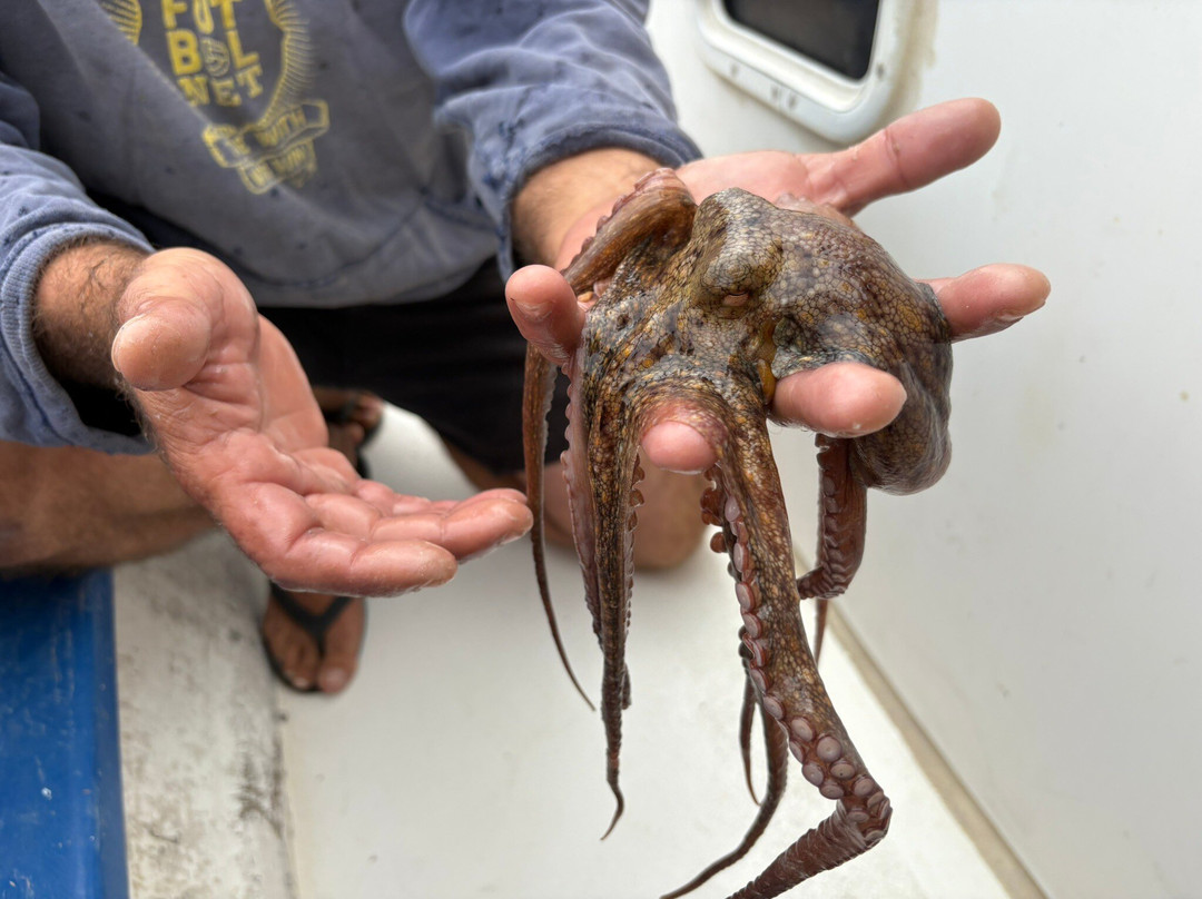 Mitsos Fishing Trips-Petra必去景点