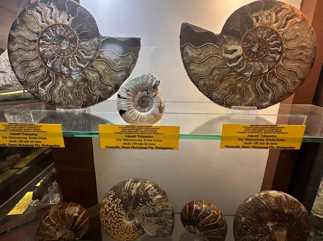 Mineralogical Museum-斯克拉斯卡波伦巴必去景点