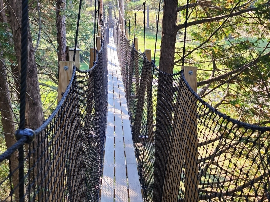 NEW Zoo & Adventure Park-格林贝必去景点