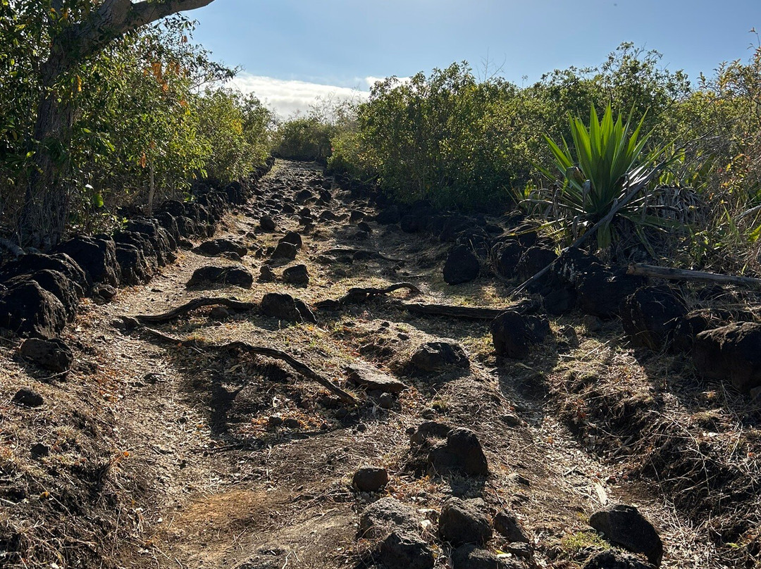Le Chemin des Anglais-La Possession必去景点
