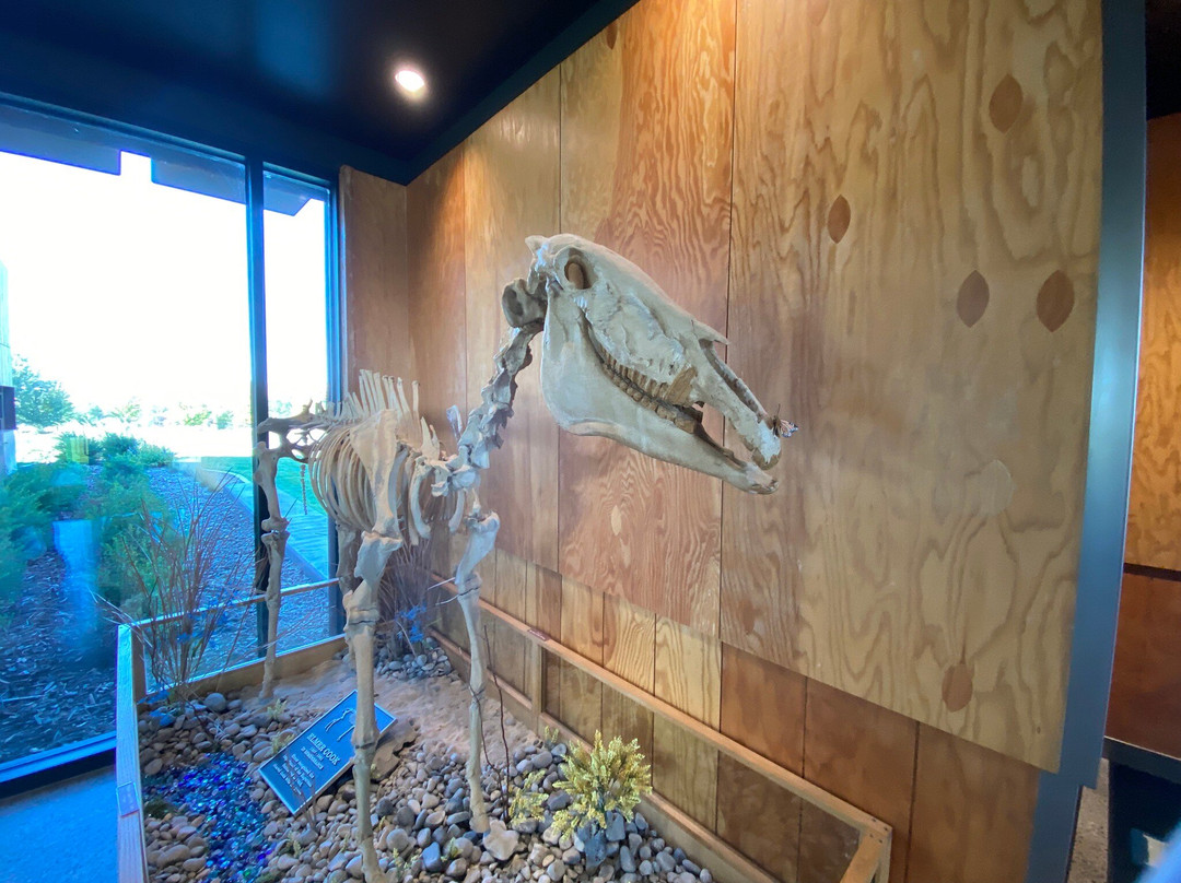 Hagerman Fossil Beds National Monument-Hagerman必去景点