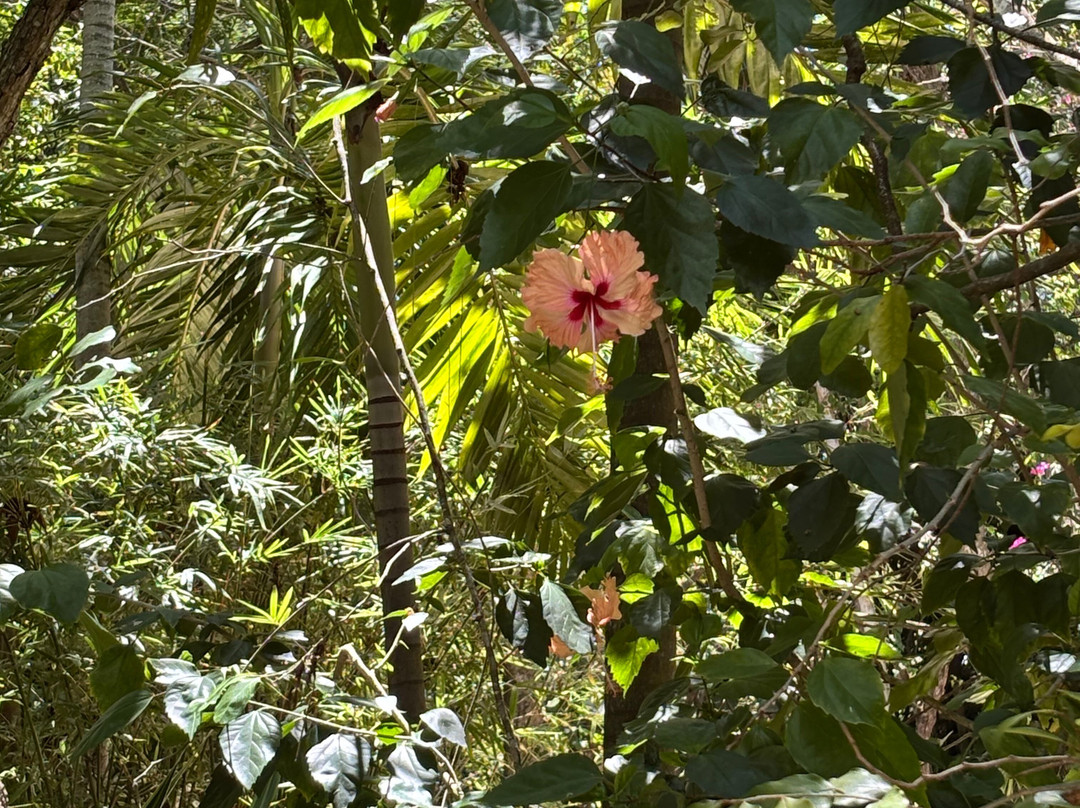 One Retreats Jamaica-内格里尔必去景点