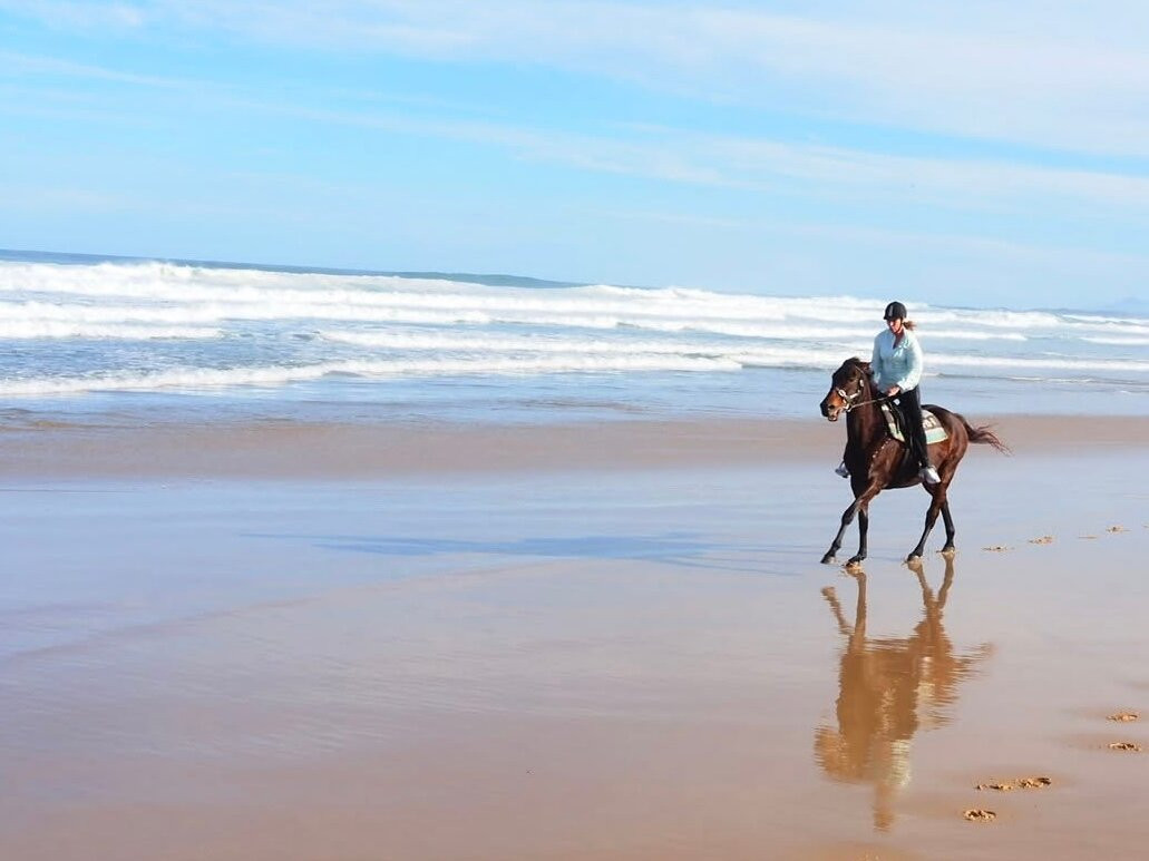HWH Stables-科夫斯港必去景点