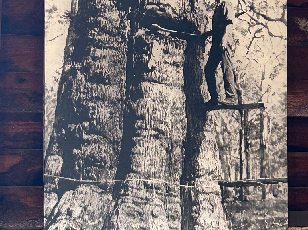 Kalamunda History Village-Kalamunda必去景点