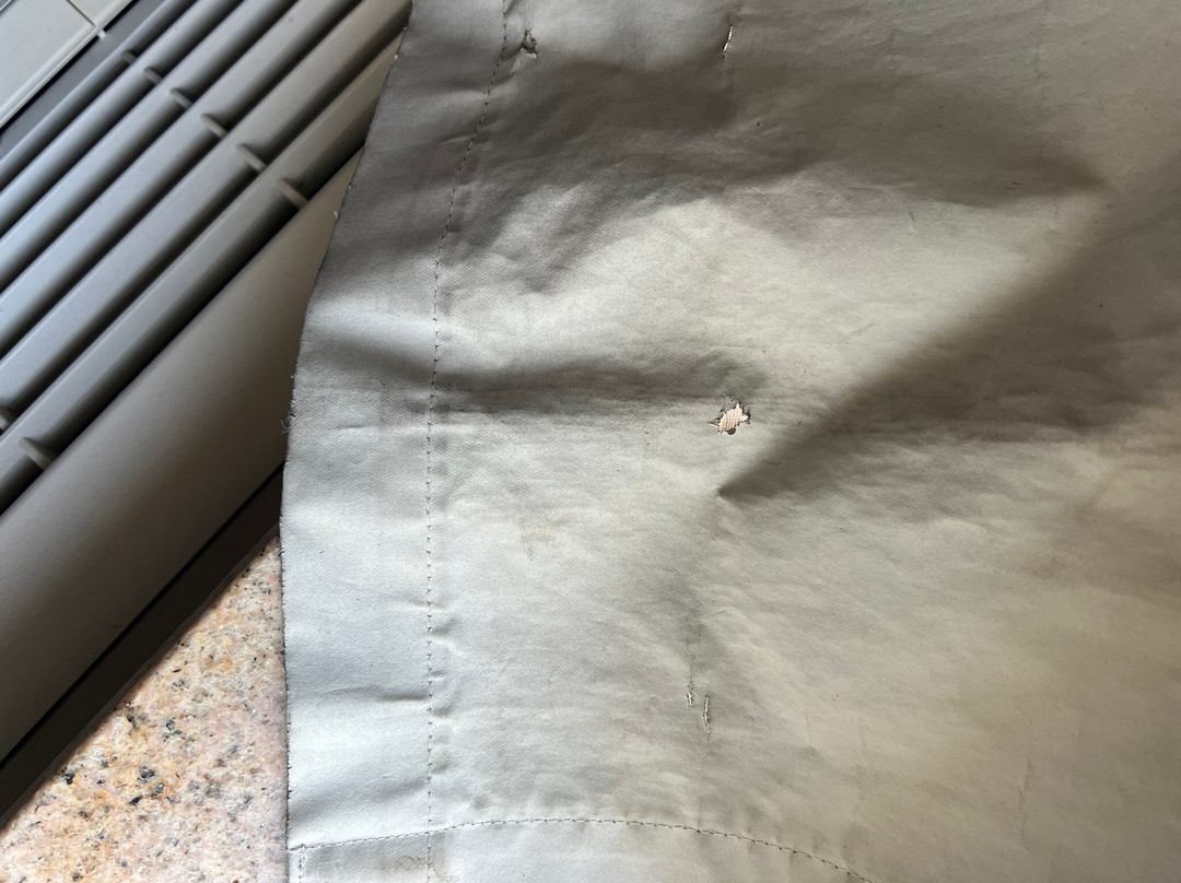 Best Western Dothan Inn & Suites主图