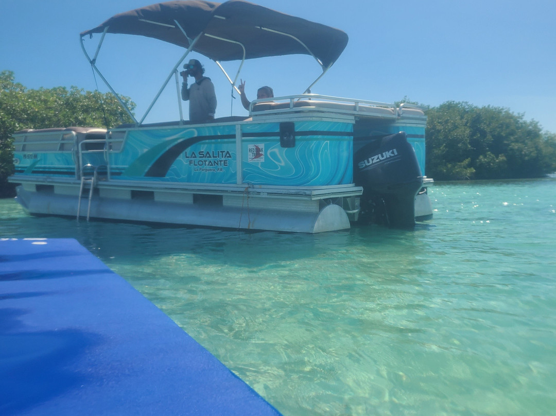 Turtle Bay Inn主图