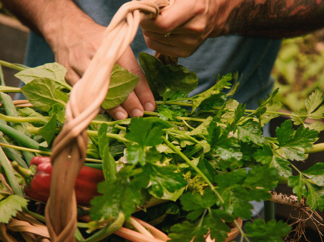 Ecological Sanctuary-圣埃伦娜必去景点