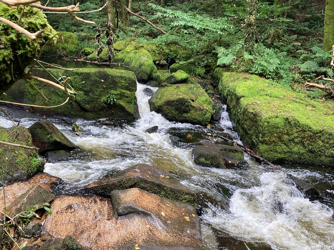 Golitha Falls-利斯卡德必去景点