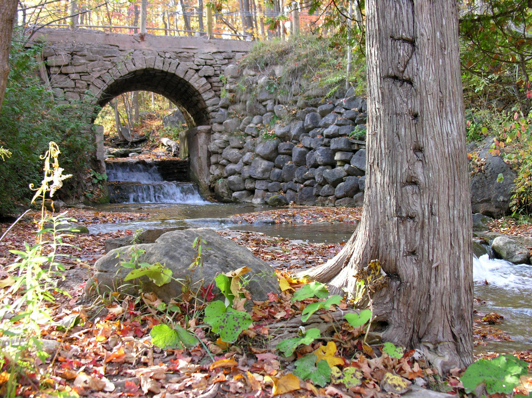 Silver Creek Conservation Area-Georgetown必去景点