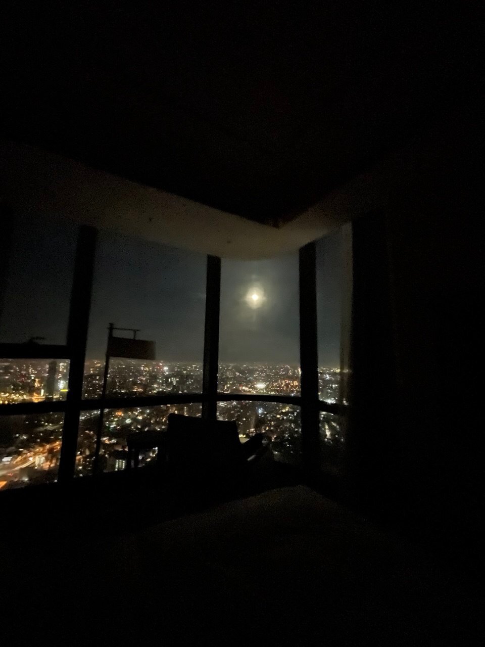 Vinpearl Landmark 81, Autograph Collection-酒店景观