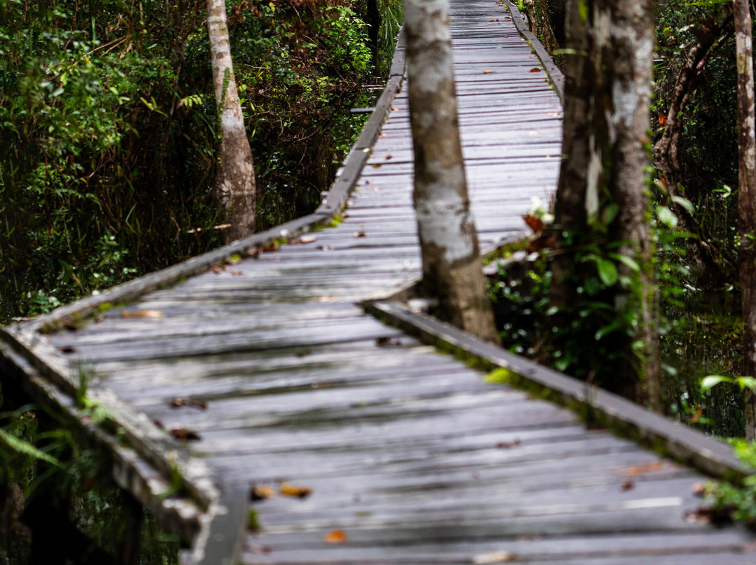 Bali Profond-登巴萨必去景点