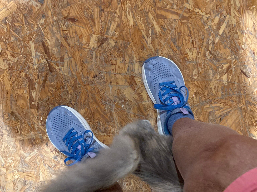 Fanning 66 Outpost-丘巴必去景点