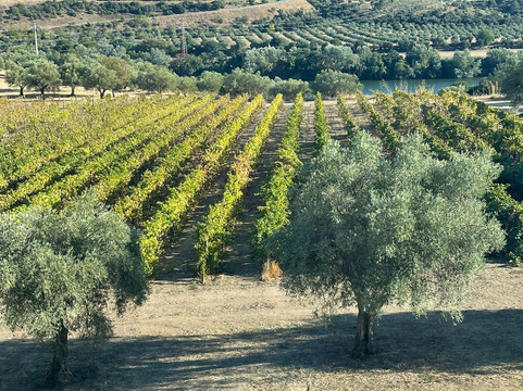 Tourvent - Travel and Events-波尔图必去景点