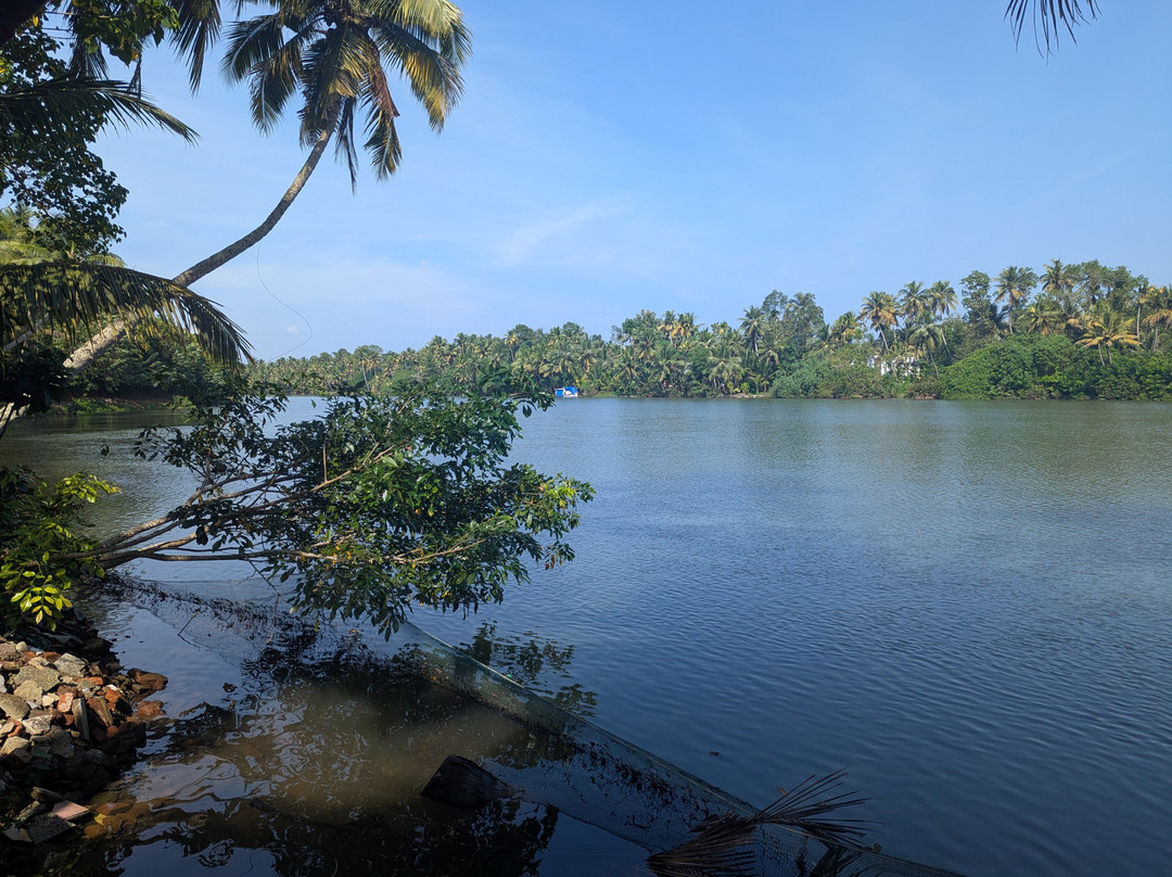 Green Chromide River View Wooden House主图