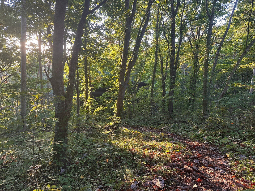 Lake Hangetsu Nature Park-俱知安町必去景点