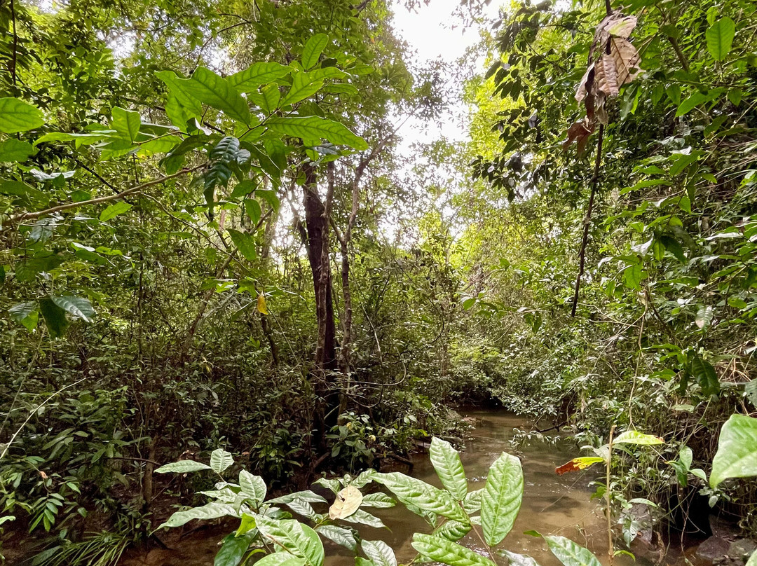 Parrot Tours-邦隆必去景点