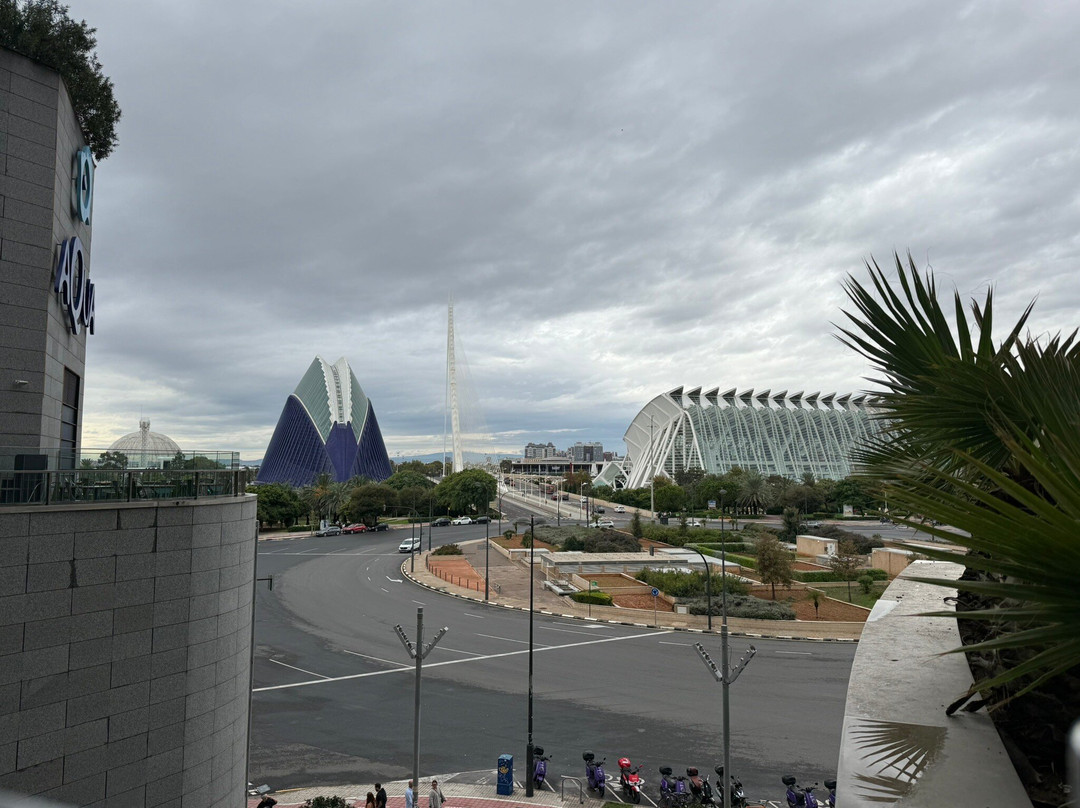 Aqua Multiespacio-巴伦西亚必去景点