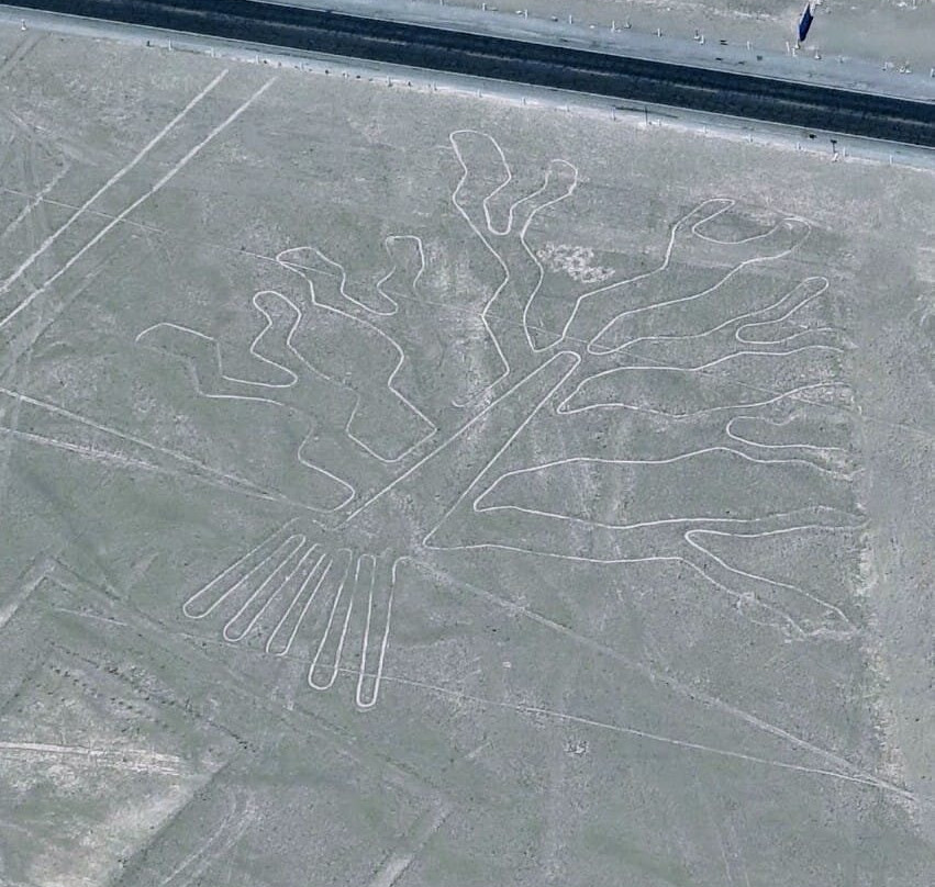 Movil Air-纳斯卡必去景点