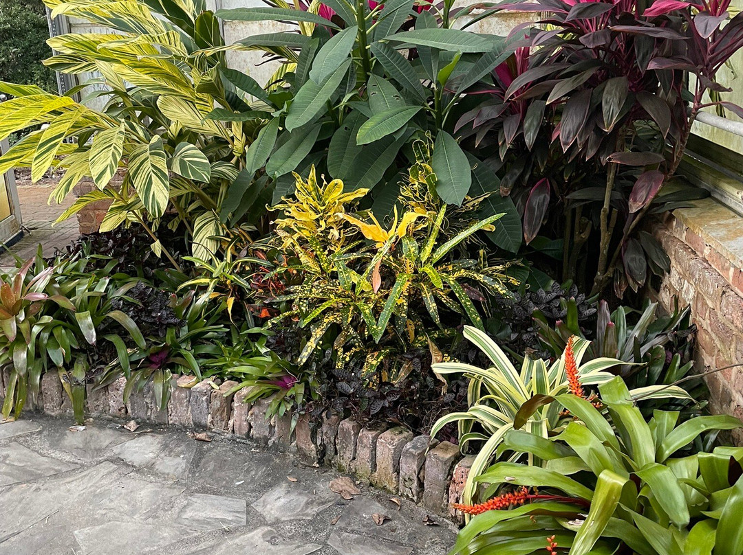 Bellingrath Gardens & Home-Theodore必去景点