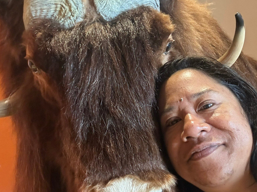 Musk Ox Farm-帕尔默必去景点