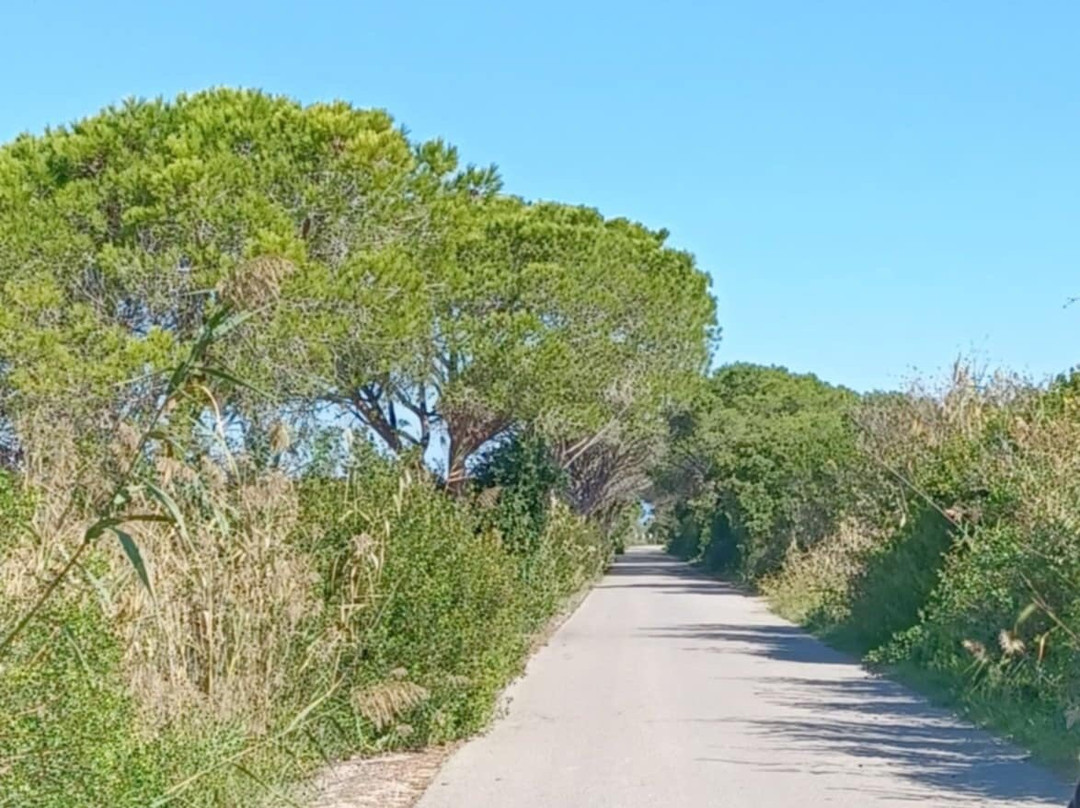 Carrozze di Maremma-Alberese必去景点