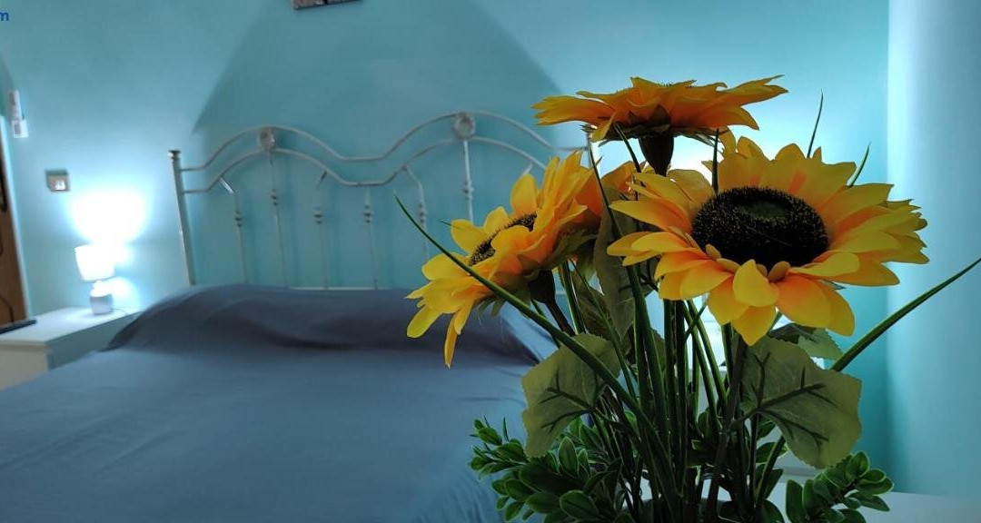 Il Girasole