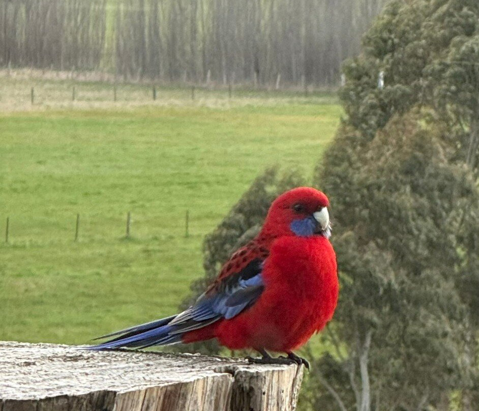 Cleveland Estate主图