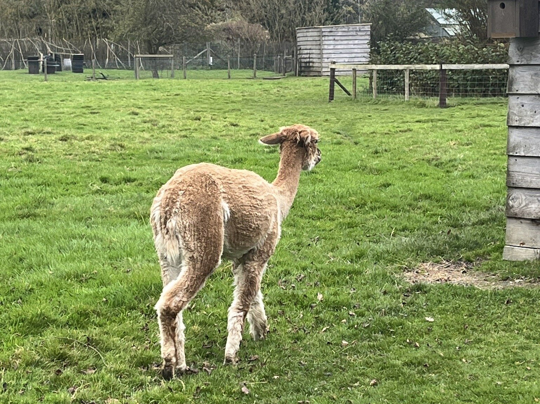 The Lake District Wildlife Park-Bassenthwaite必去景点
