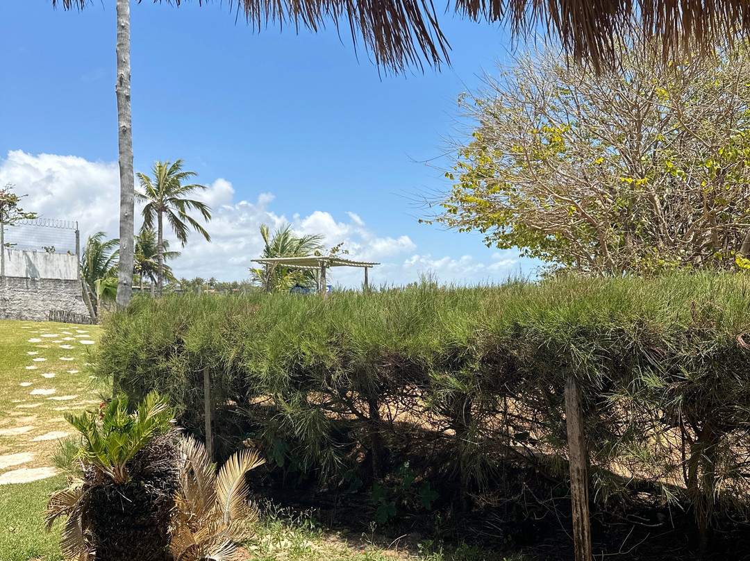 Parrachos Praia Clube-Maxaranguape必去景点