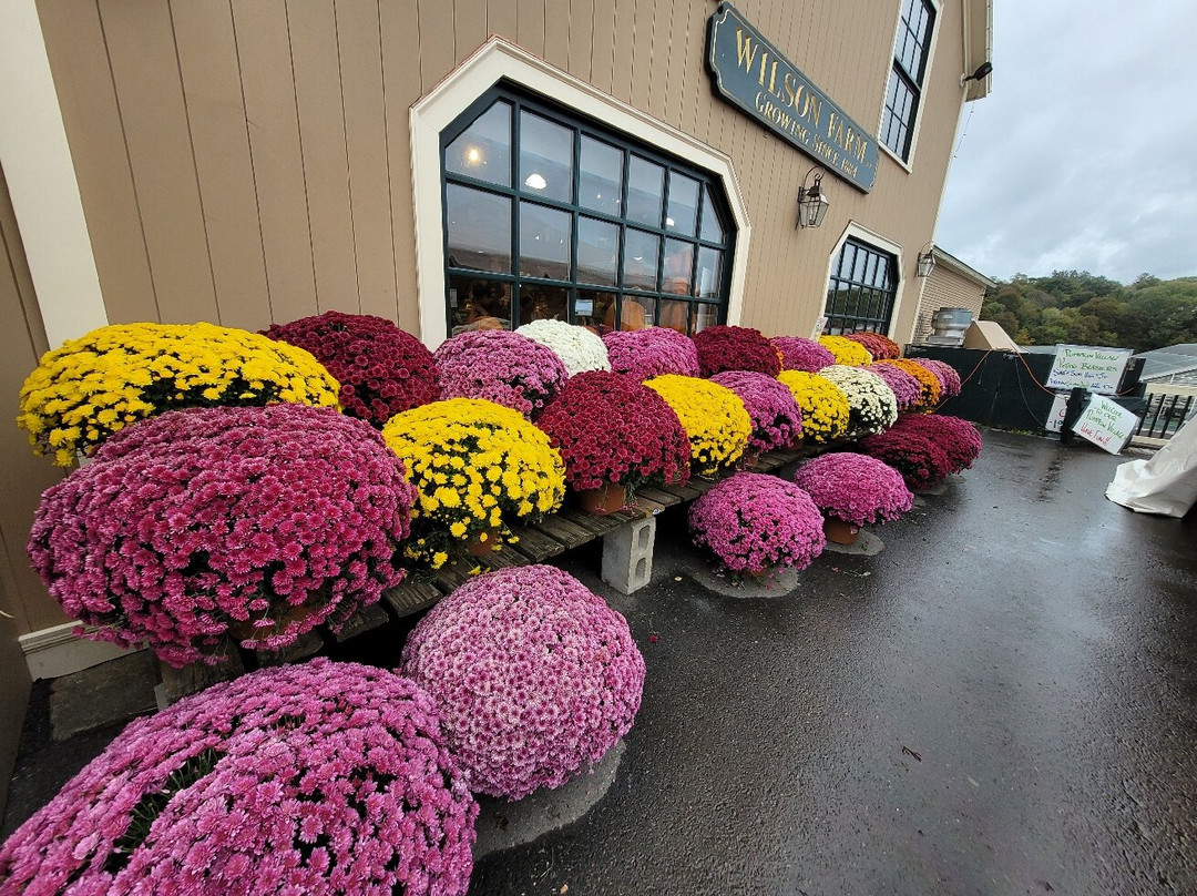 Wilson Farm-列克星敦必去景点