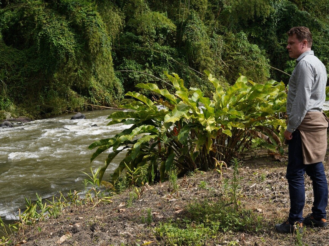 Finca Las Palmitas - Quindio-亚美尼亚必去景点