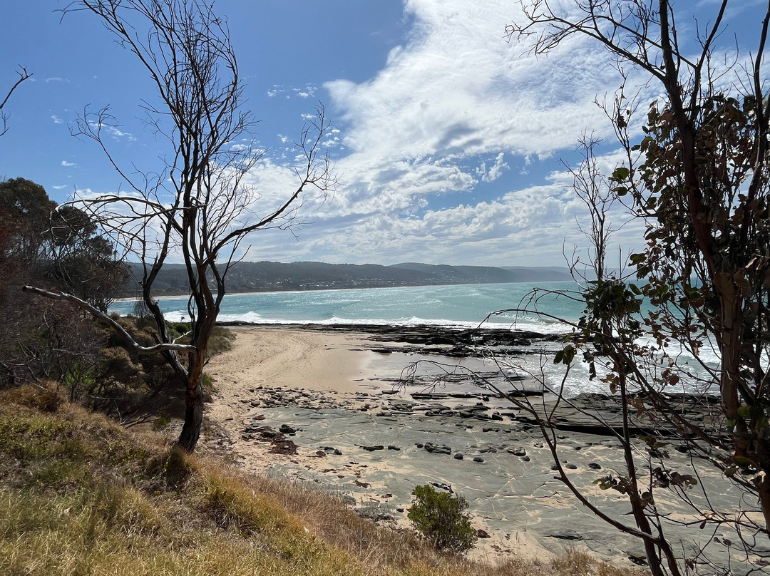 Doug Stirling Walking Track