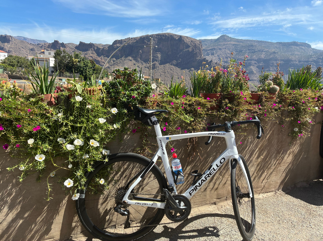 Rent Bike Playa Meloneras-Meloneras必去景点