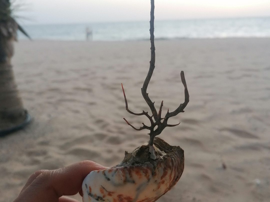 Voyage Sénégal Guide-Nianing必去景点