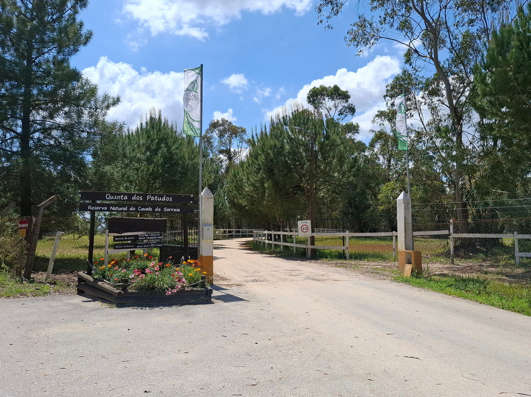 Reserva Natural do Cavalo do Sorraia-Alpiarca必去景点