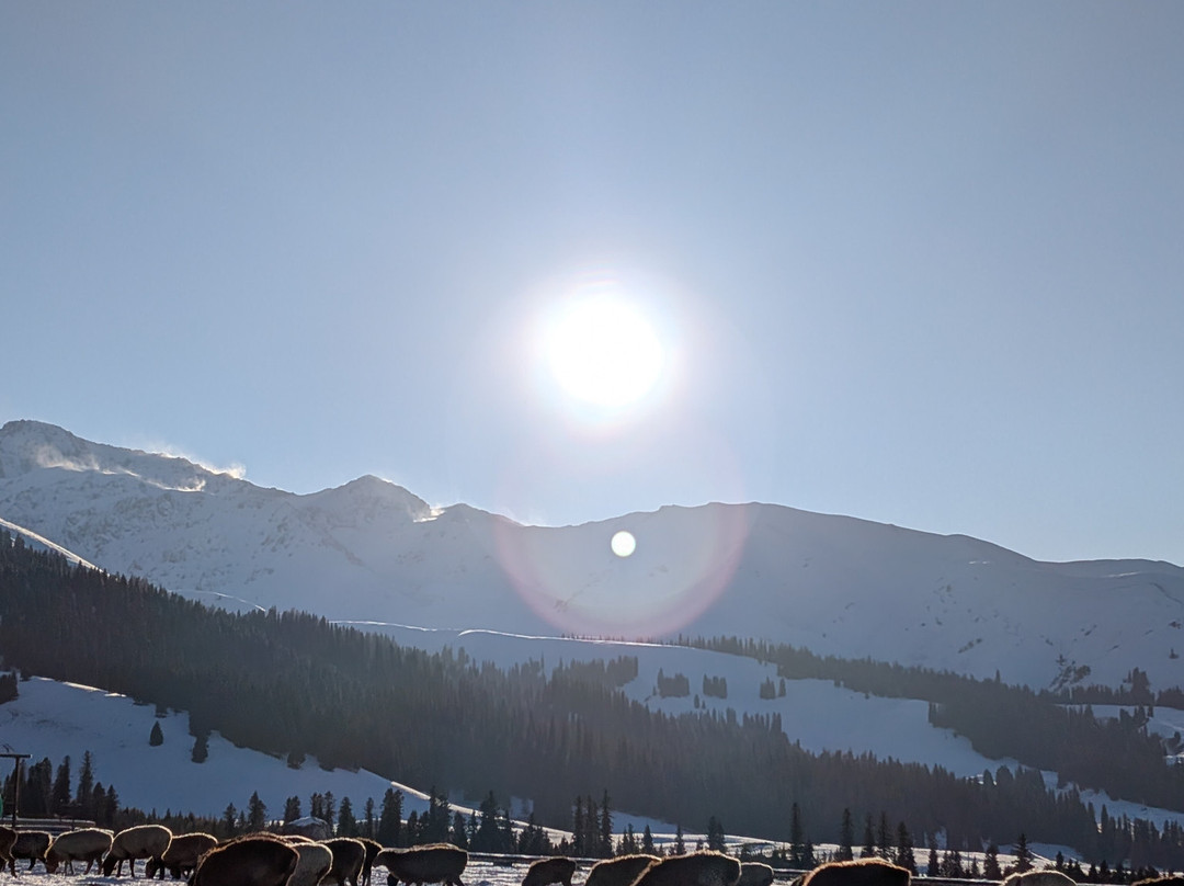 Silk Road Travel-乌鲁木齐市必去景点