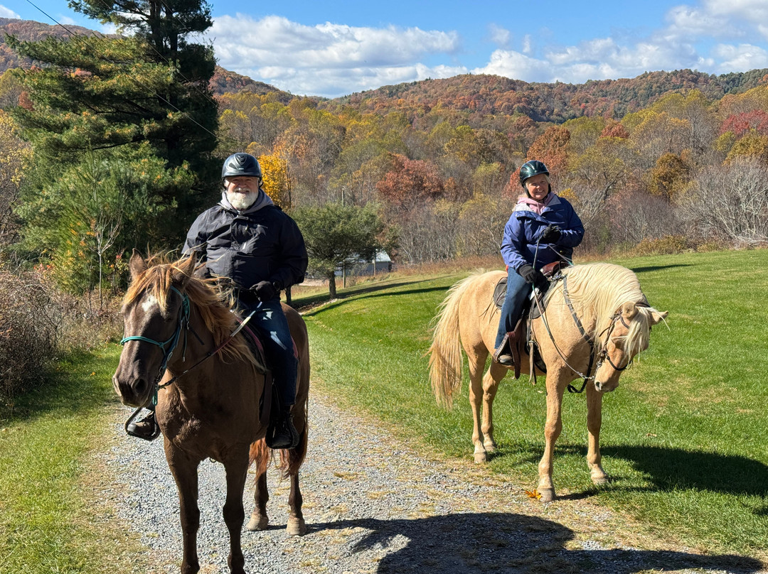 Appalachian Horse Adventures - Montebello, VA-Montebello必去景点
