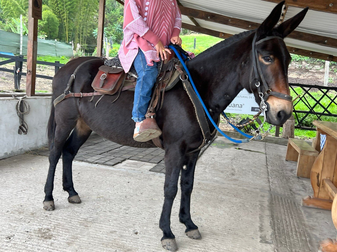 LA JUANA COLOMBIA-Neira必去景点