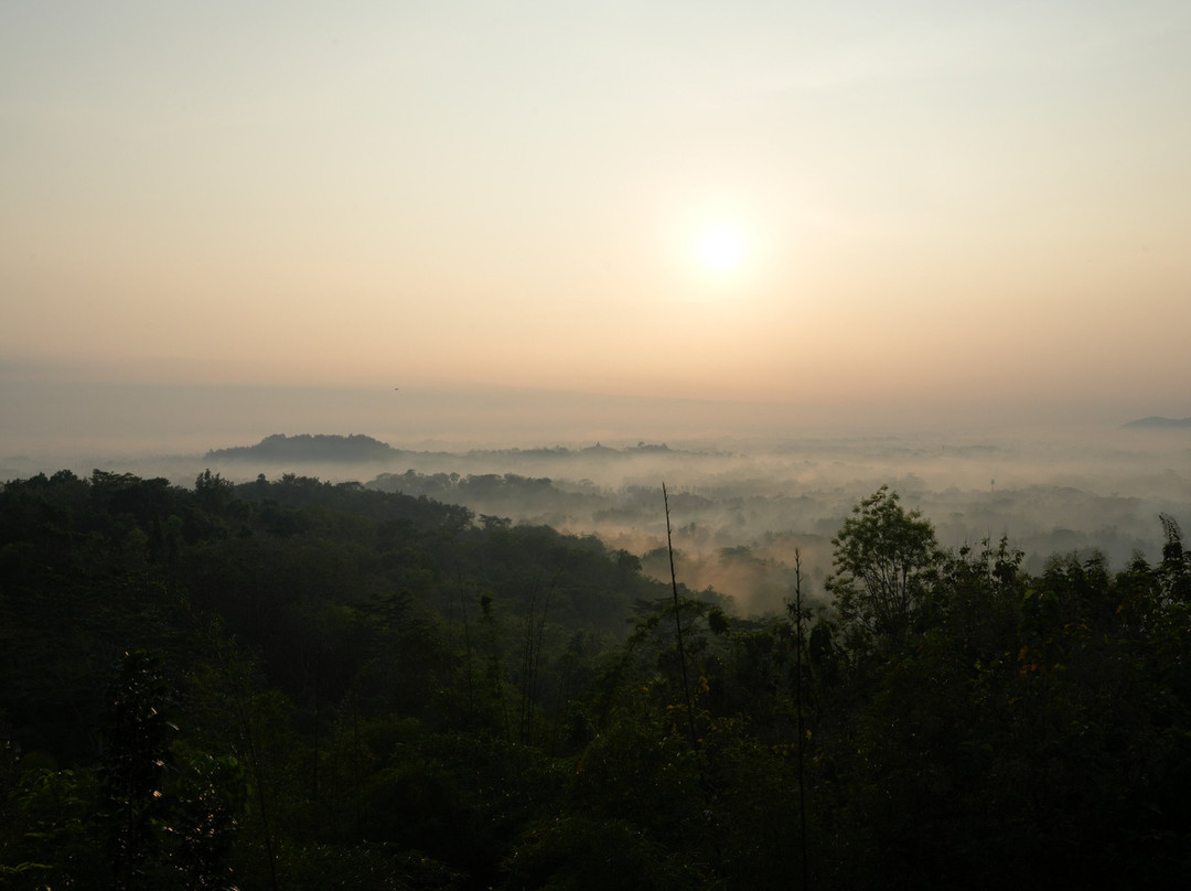 Jogja Indo Tours-Yogyakarta必去景点
