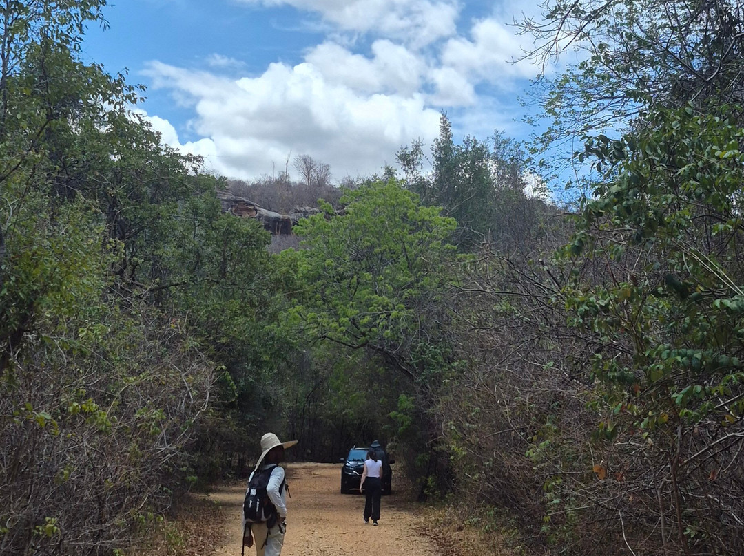 卡皮瓦拉山国家公园-Serra da Capivara National Park必去景点