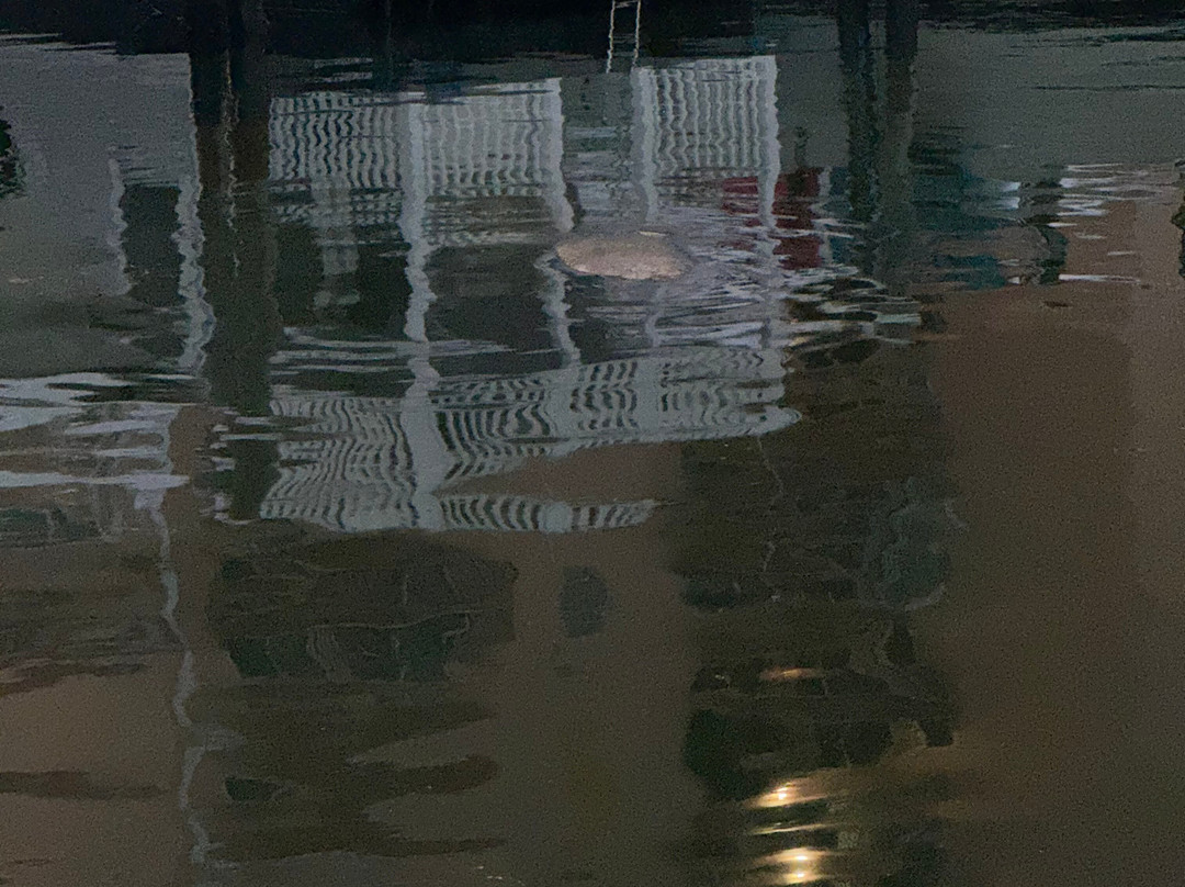 Sea N Things, LLC-Indian Shores必去景点