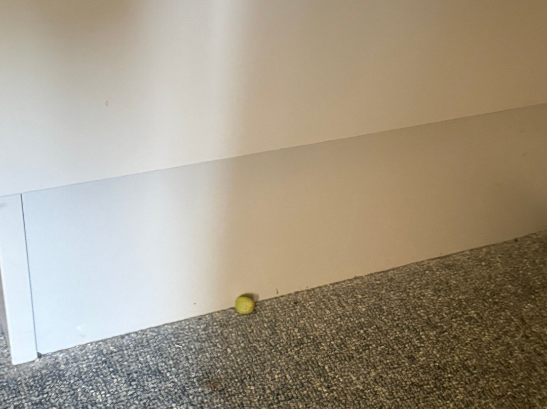 Mountain View Motel主图